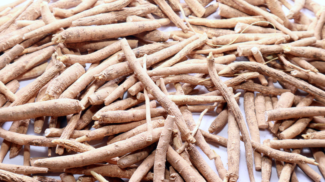 Ashwagandha: Wirkung, Vorteile und Sinnhaftigkeit der Einnahme