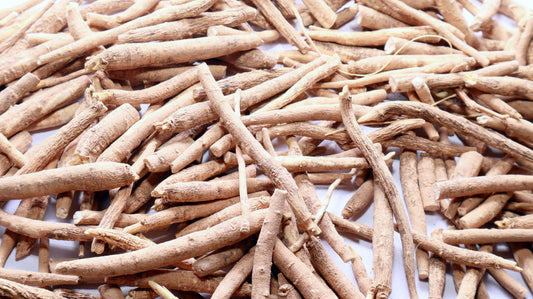Ashwagandha: Wirkung, Vorteile und Sinnhaftigkeit der Einnahme